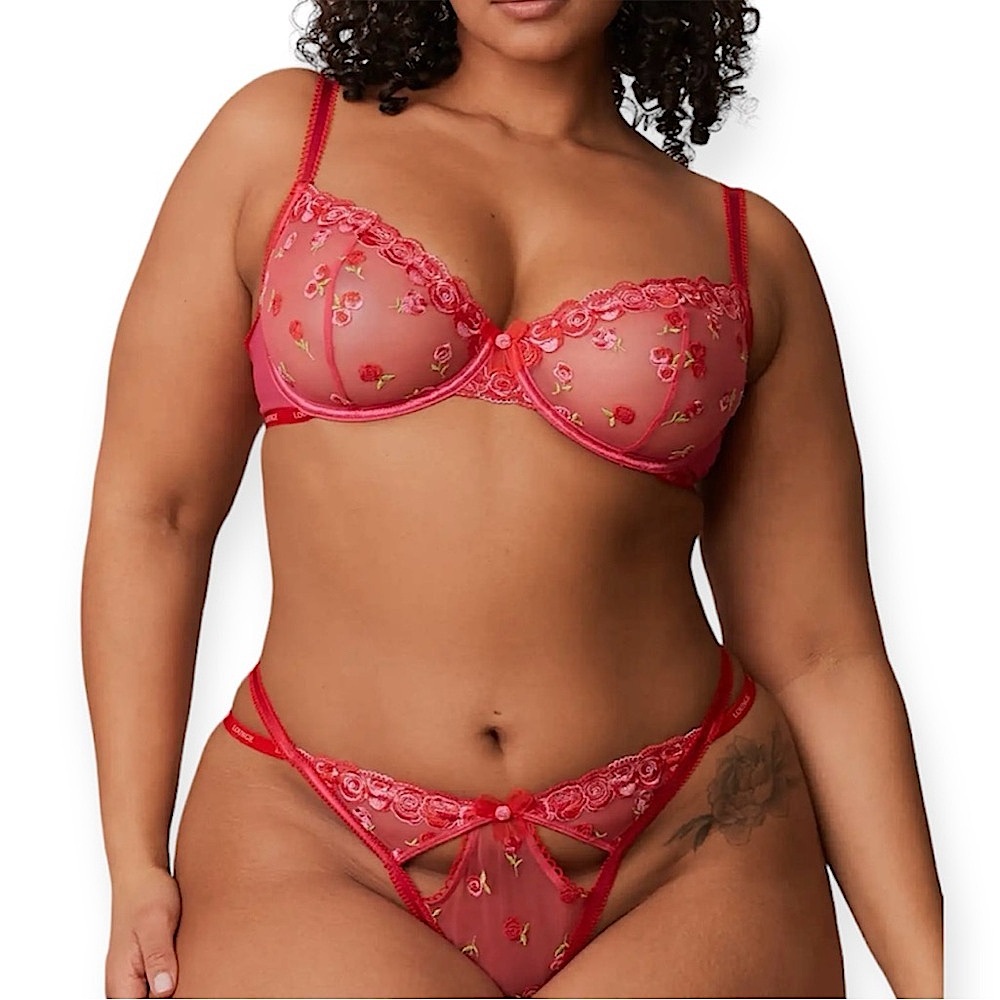 LOUNGE Blush Embroidered Balcony Floral Sheer Bra